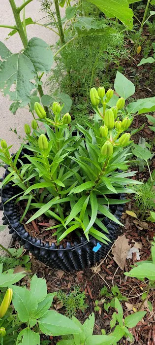 Grand Meadow Manufactured Home Community Picture 2