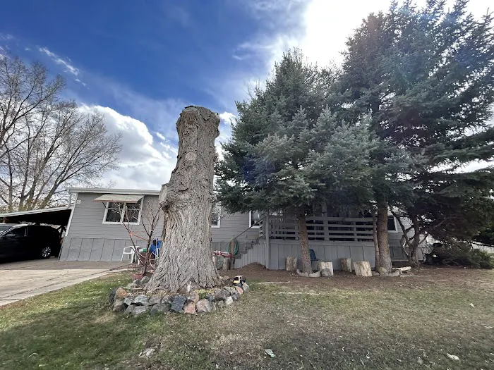 Casa Estates Picture 3