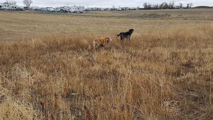 WILD COUNTRY RV PARK Picture 6