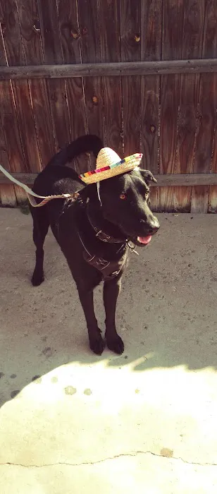 North County Village Picture 5