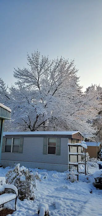 Parco Dello Zingaro Mobile Home Community Picture 4