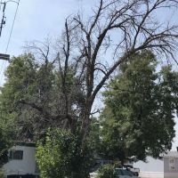 Columbine Mobile Home Park ico