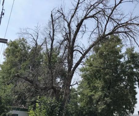 Columbine Mobile Home Park