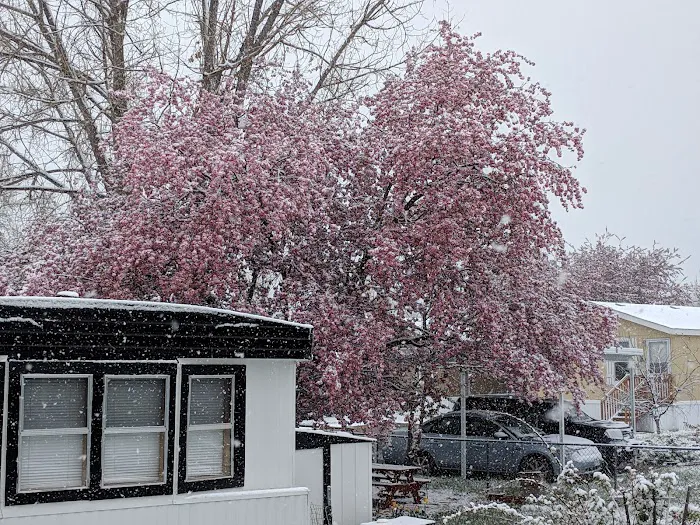 Cimarron Village Picture 6