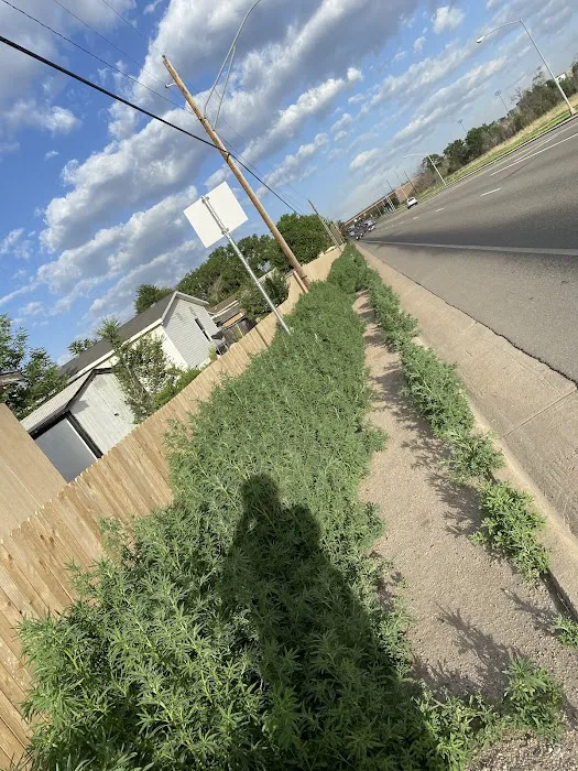 Chaparral Village Picture 4