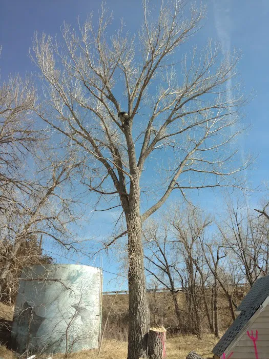 Sans Souci Community Picture 6