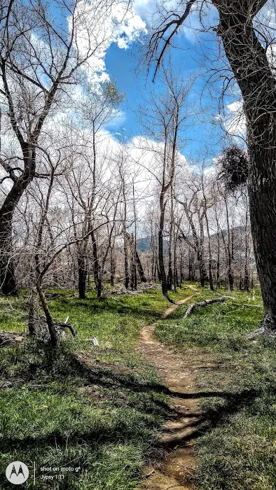 Sans Souci Community Picture 7