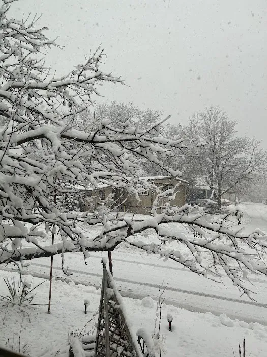 Vista Village Mobile Home Picture 3