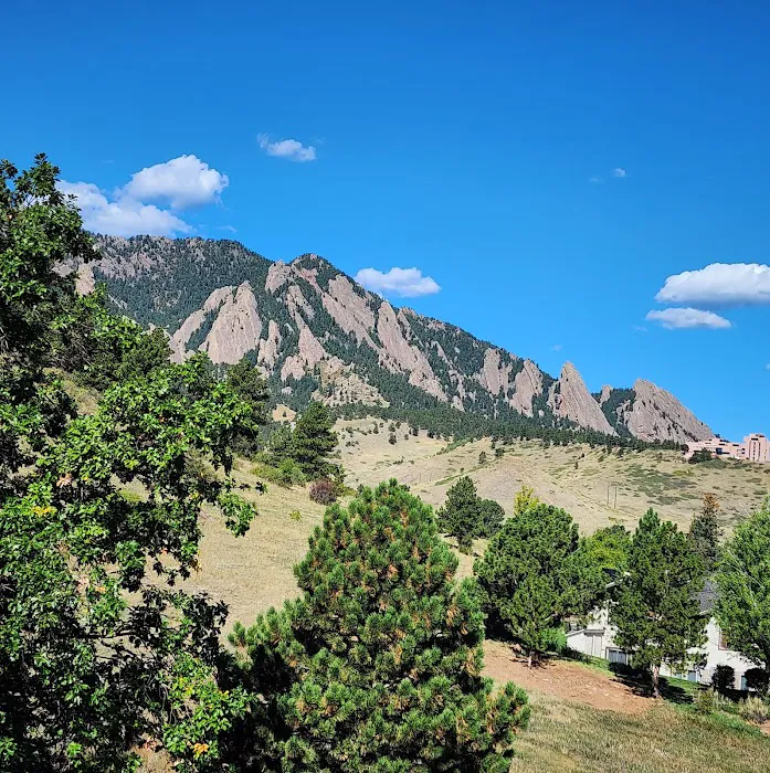 Orchard Grove Picture 5