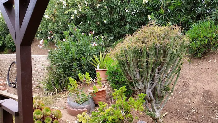 San Vicente Mobile Home Park Picture 3