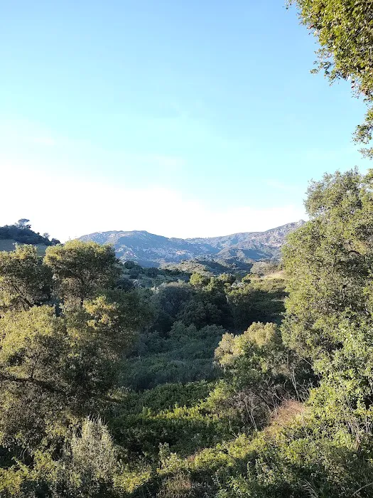 Los Amigos Mobile Home Estates Picture 1