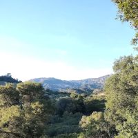 Los Amigos Mobile Home Estates ico