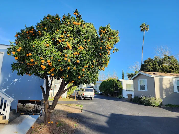 Los Amigos Mobile Home Estates Picture 2