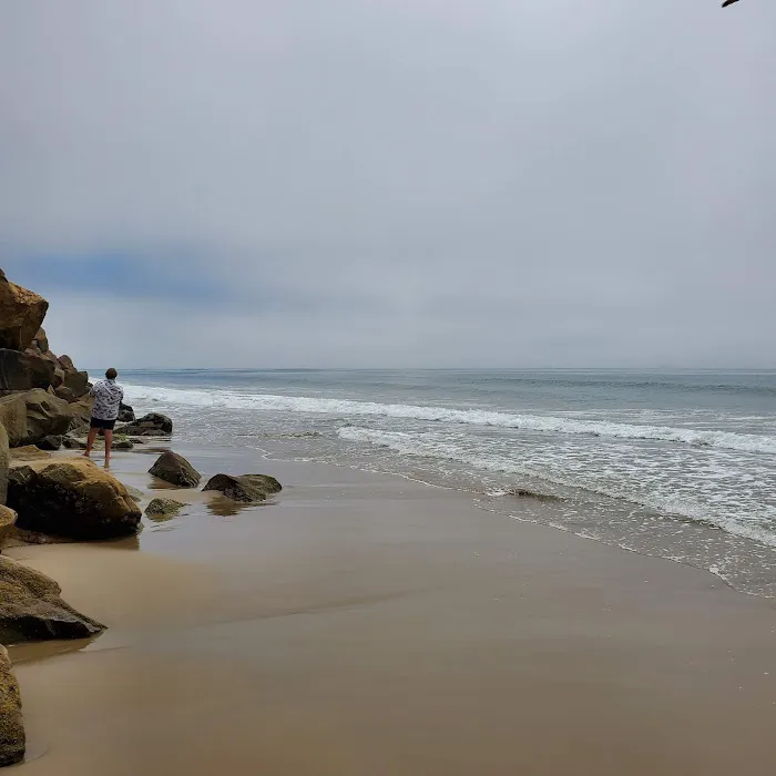 Tropical Gardens Mobile Home Park Picture 3