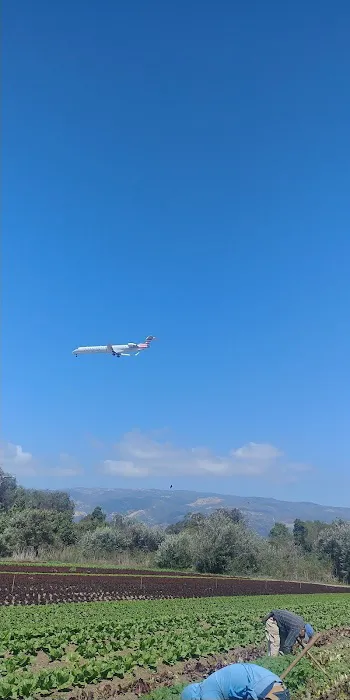 Rancho Goleta Lakeside Picture 4