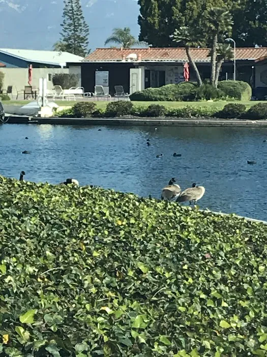 Rancho Goleta Lakeside Picture 8