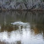 Rancho Goleta Lakeside
