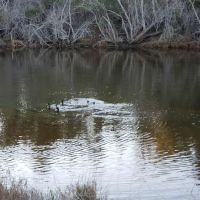 Rancho Goleta Lakeside ico