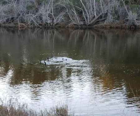 Rancho Goleta Lakeside