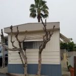 Ellwood Station (formerly Wayside Village)