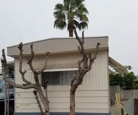 Ellwood Station (formerly Wayside Village)