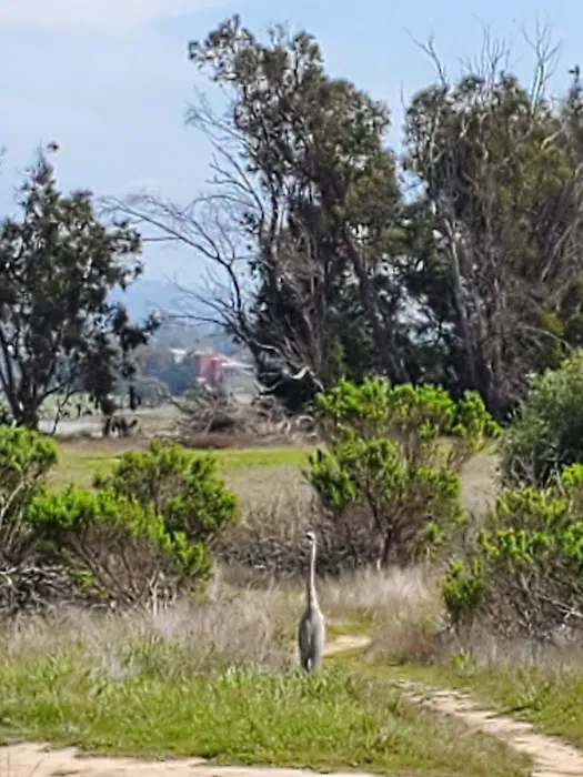 Rancho Mobile Homes Picture 8