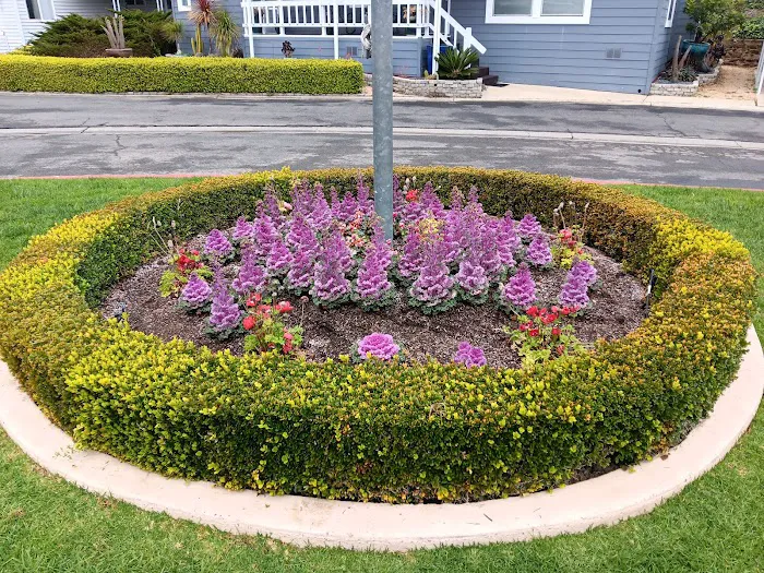 Santa Barbara West Mobile Park Picture 7