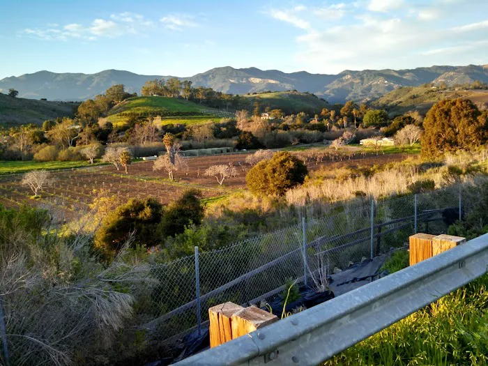 Santa Barbara West Mobile Park Picture 8