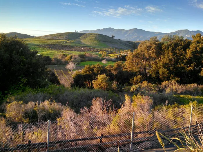 Santa Barbara West Mobile Park Picture 10