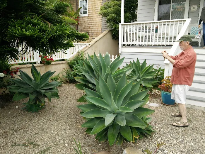 Silver Sands Mobile Home Park Picture 8