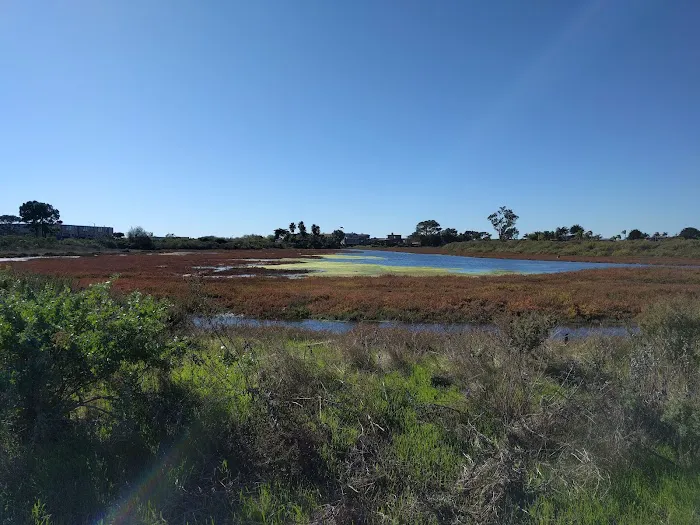 Silver Sands Mobile Home Park Picture 2