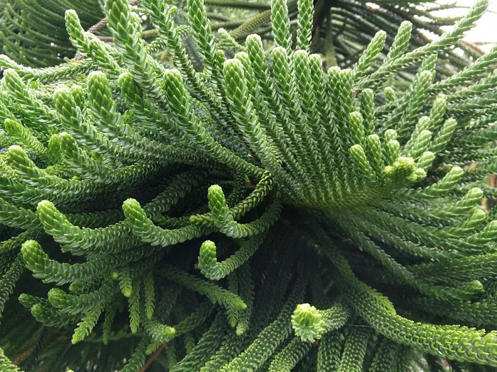 Silver Sands Mobile Home Park Picture 9