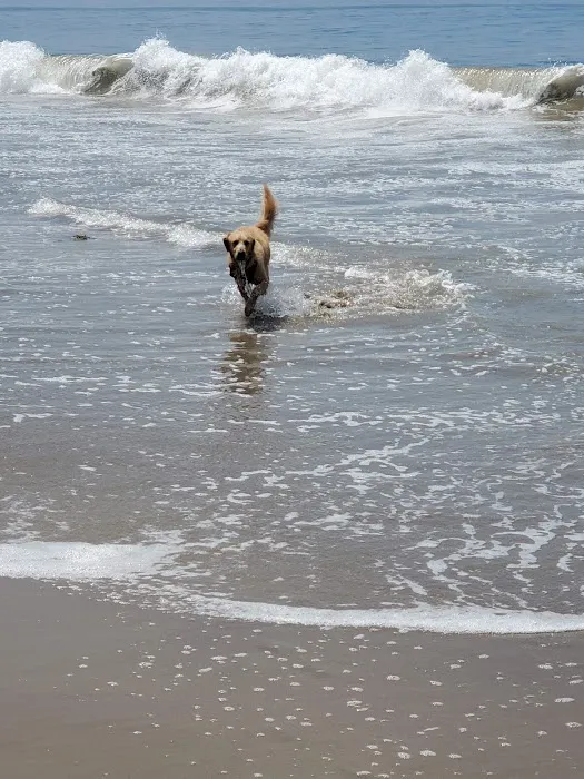 San Roque Mobile Estates Picture 6