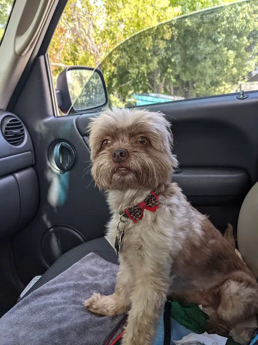 San Roque Mobile Estates Picture 4