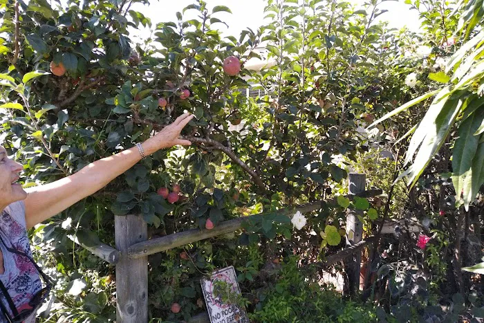 Rancho Granada Mobile Home Park Picture 1