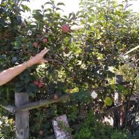 Rancho Granada Mobile Home Park ico