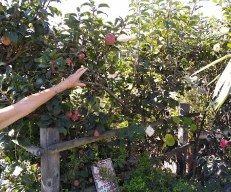 Rancho Granada Mobile Home Park