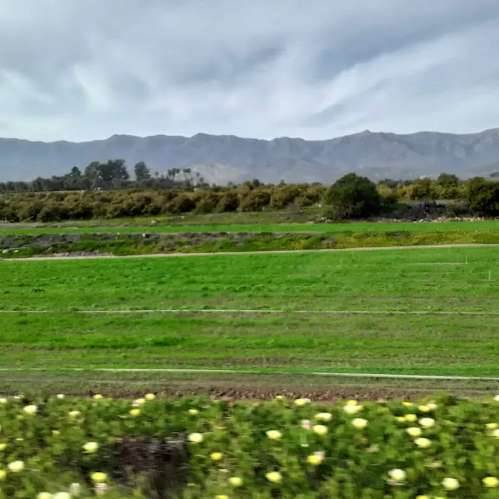 Vista De Santa Barbara Mobile Home Park Picture 8