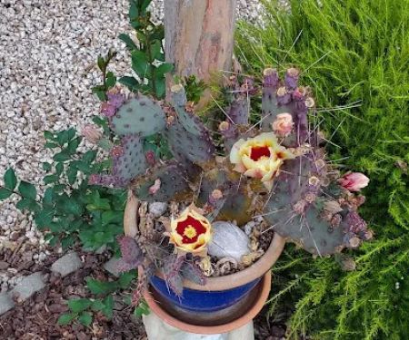 Rancho Santa Ynez Estates