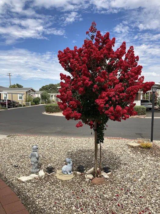 Ranch Club Mobile Estates Picture 9