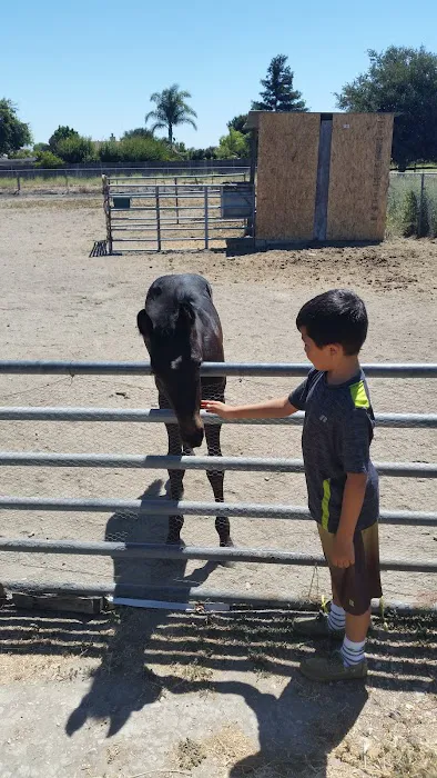 Frontier Village Mobile Home Park Picture 1