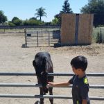 Frontier Village Mobile Home Park