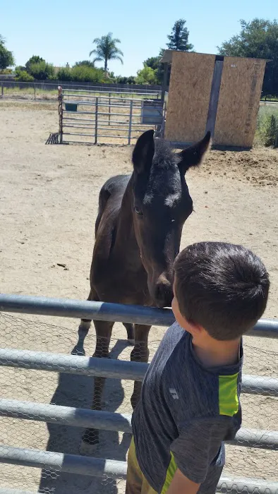 Frontier Village Mobile Home Park Picture 3