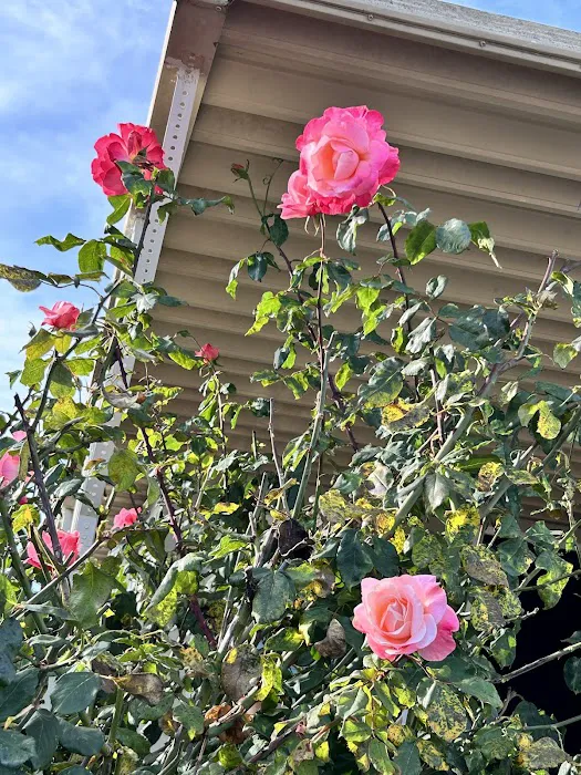 Mountain View Mobile Estates Picture 1