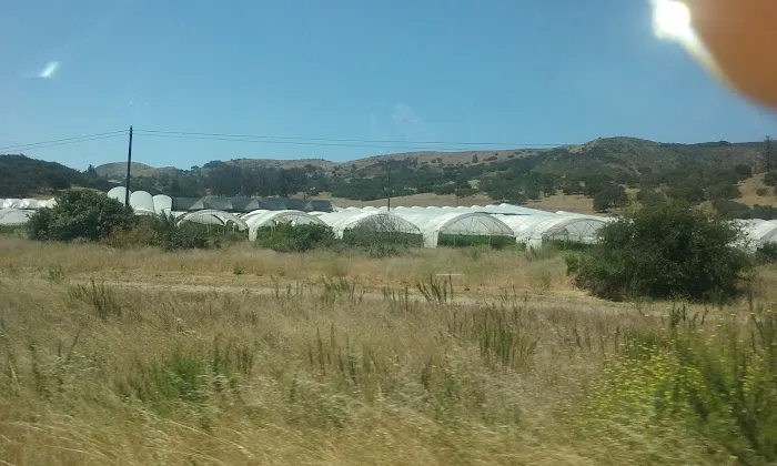 Mountain View Mobile Estates Picture 4