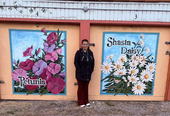 The Willows Mobile Home Park Picture 3