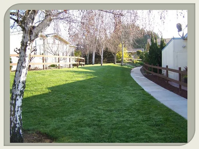 Sunnyhills Mobile Home Community Picture 10