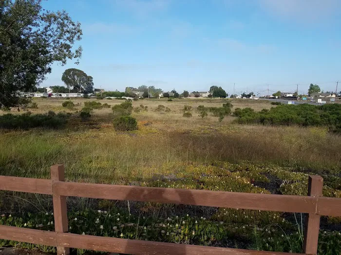 Sunnyhills Mobile Home Community Picture 1