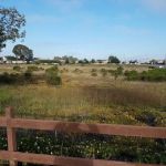 Sunnyhills Mobile Home Community