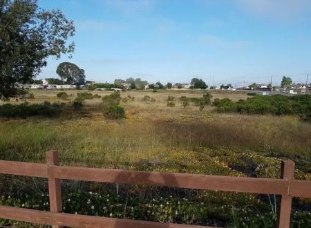 Sunnyhills Mobile Home Community